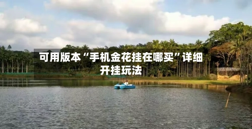 可用版本“手机金花挂在哪买	”详细开挂玩法-第2张图片