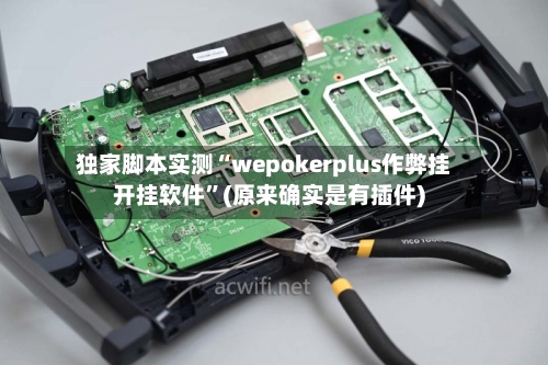 独家脚本实测“wepokerplus作弊挂开挂软件	”(原来确实是有插件)-第2张图片