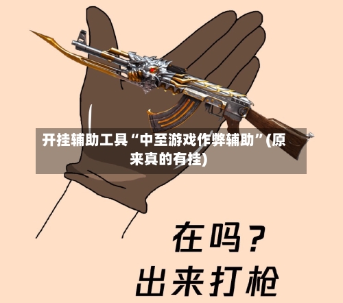 开挂辅助工具“中至游戏作弊辅助”(原来真的有挂)-第2张图片