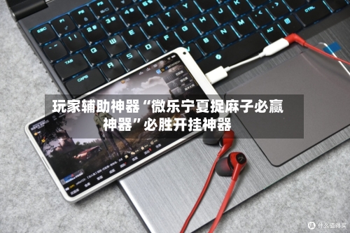 玩家辅助神器“微乐宁夏捉麻子必赢神器	”必胜开挂神器-第2张图片