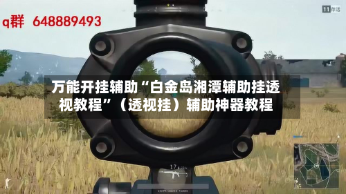 万能开挂辅助“白金岛湘潭辅助挂透视教程”（透视挂）辅助神器教程-第2张图片