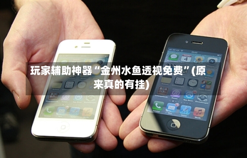 玩家辅助神器“金州水鱼透视免费”(原来真的有挂)-第2张图片