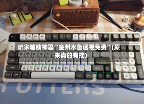 玩家辅助神器“金州水鱼透视免费”(原来真的有挂)-第3张图片