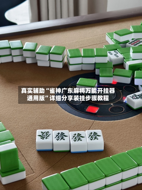 真实辅助“雀神广东麻将万能开挂器通用版”详细分享装挂步骤教程-第2张图片
