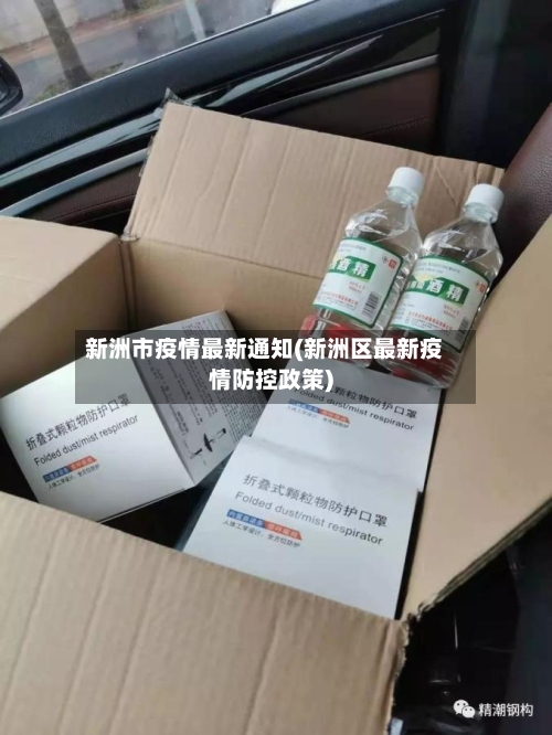 新洲市疫情最新通知(新洲区最新疫情防控政策)