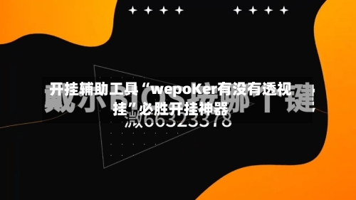 开挂辅助工具“wepoKer有没有透视挂”必胜开挂神器-第2张图片