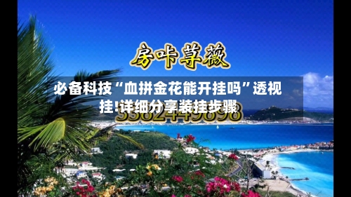 必备科技“血拼金花能开挂吗”透视挂!详细分享装挂步骤-第3张图片