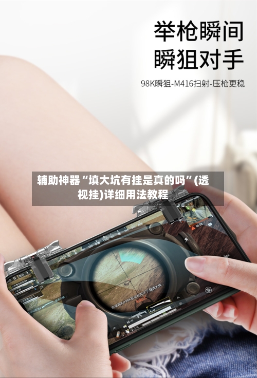 辅助神器“填大坑有挂是真的吗”(透视挂)详细用法教程-第3张图片