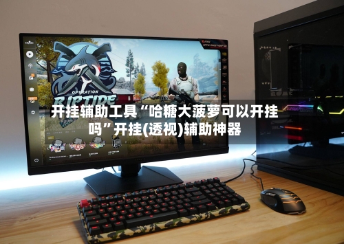 开挂辅助工具“哈糖大菠萝可以开挂吗”开挂(透视)辅助神器-第2张图片