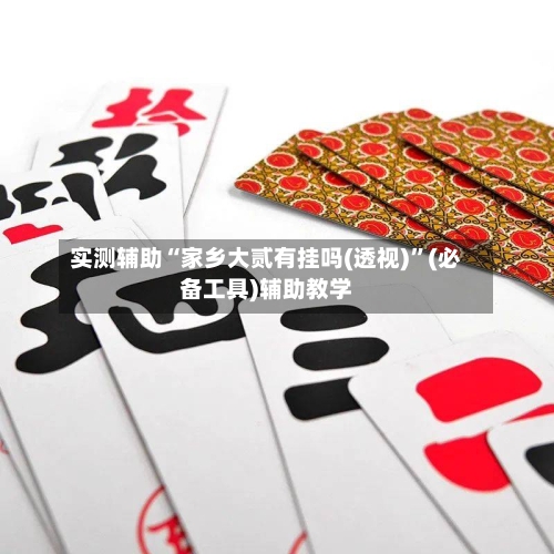 实测辅助“家乡大贰有挂吗(透视)”(必备工具)辅助教学-第2张图片