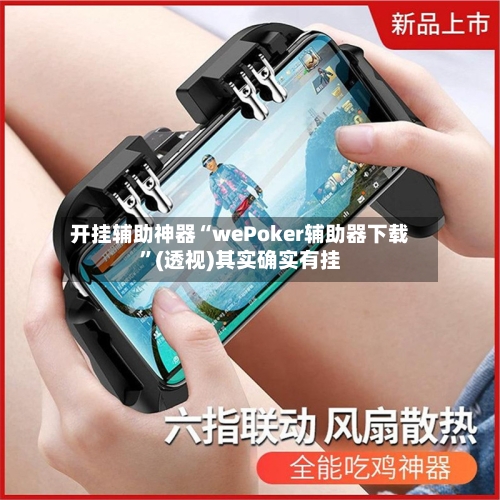 开挂辅助神器“wePoker辅助器下载”(透视)其实确实有挂-第2张图片