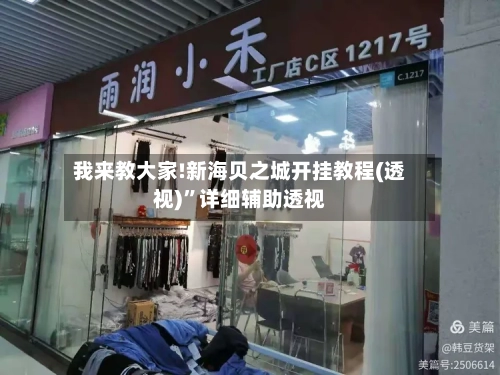 我来教大家!新海贝之城开挂教程(透视)”详细辅助透视