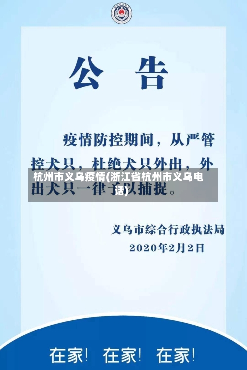 杭州市义乌疫情(浙江省杭州市义乌电话)-第2张图片