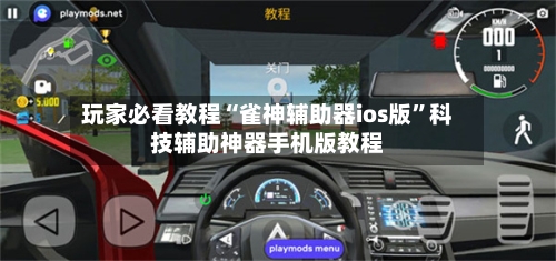 玩家必看教程“雀神辅助器ios版”科技辅助神器手机版教程-第3张图片