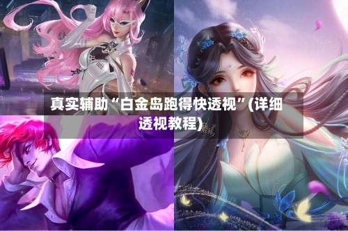 真实辅助“白金岛跑得快透视	”(详细透视教程)-第2张图片