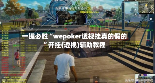一键必胜“wepoker透视挂真的假的”开挂(透视)辅助教程-第3张图片