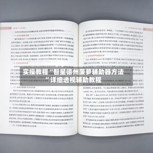 实操教程“智星德州菠萝辅助器方法	”详细透视辅助教程-第2张图片