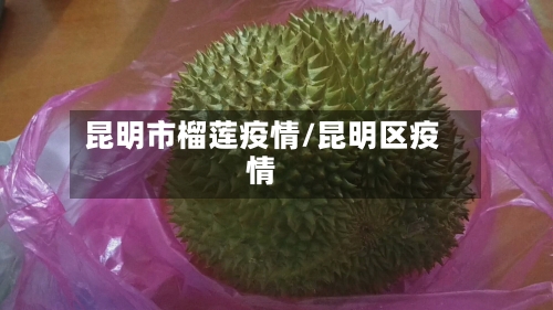 昆明市榴莲疫情/昆明区疫情-第2张图片