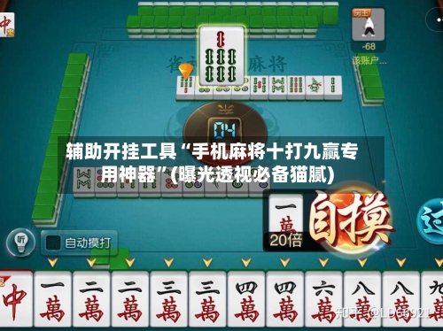辅助开挂工具“手机麻将十打九赢专用神器”(曝光透视必备猫腻)-第3张图片
