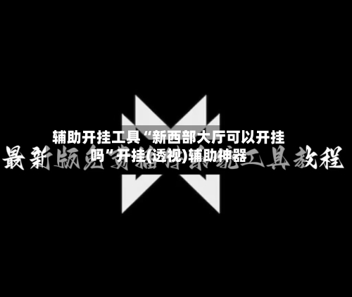 辅助开挂工具“新西部大厅可以开挂吗”开挂(透视)辅助神器-第2张图片