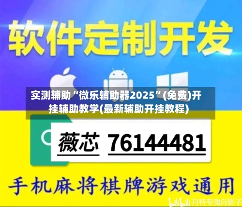 实测辅助“微乐辅助器2025	”(免费)开挂辅助教学(最新辅助开挂教程)-第2张图片