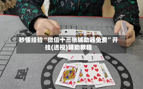 秒懂经验“微信十三张辅助器免费”开挂(透视)辅助教程-第2张图片