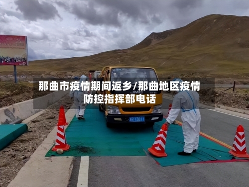 那曲市疫情期间返乡/那曲地区疫情防控指挥部电话