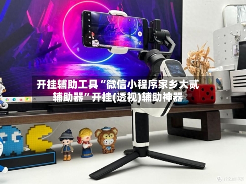 开挂辅助工具“微信小程序家乡大贰辅助器”开挂(透视)辅助神器