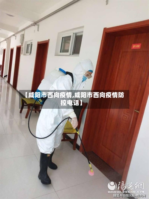 【咸阳市西向疫情,咸阳市西向疫情防控电话】