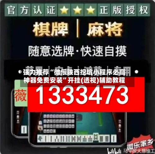 强力推荐“微乐陕西挖坑小程序必赢神器免费安装	”开挂(透视)辅助教程-第2张图片