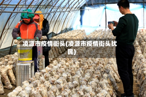 凌源市疫情街头(凌源市疫情街头扰民)-第3张图片