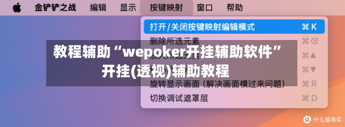 教程辅助“wepoker开挂辅助软件	”开挂(透视)辅助教程-第2张图片