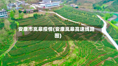 安康市岚皋疫情(安康岚皋高速线路图)-第3张图片