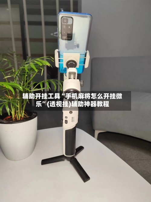 辅助开挂工具“手机麻将怎么开挂微乐”(透视挂)辅助神器教程-第3张图片