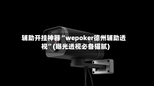 辅助开挂神器“wepoker德州辅助透视”(曝光透视必备猫腻)-第3张图片