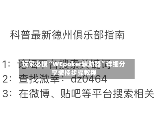 玩家必搜“WEpoker辅助器”详细分享装挂步骤教程-第3张图片