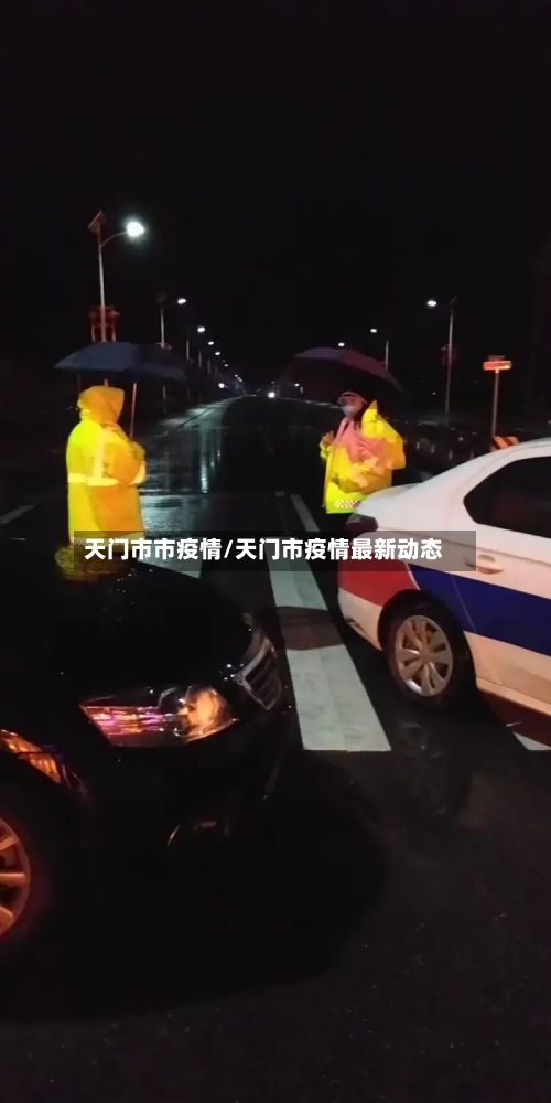 天门市市疫情/天门市疫情最新动态-第2张图片
