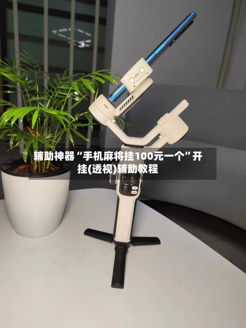 辅助神器“手机麻将挂100元一个”开挂(透视)辅助教程