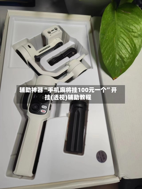 辅助神器“手机麻将挂100元一个	”开挂(透视)辅助教程-第2张图片