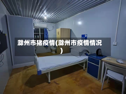 滁州市猪疫情(滁州市疫情情况)-第2张图片