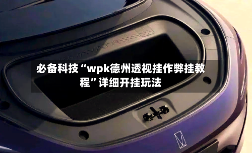 必备科技“wpk德州透视挂作弊挂教程”详细开挂玩法-第3张图片