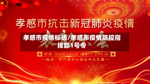 孝感市疫情标语/孝感市疫情防控指挥部1号令-第3张图片