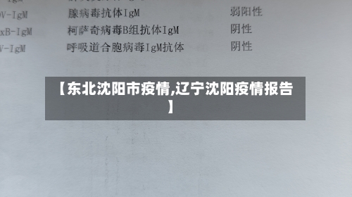 【东北沈阳市疫情,辽宁沈阳疫情报告】-第2张图片
