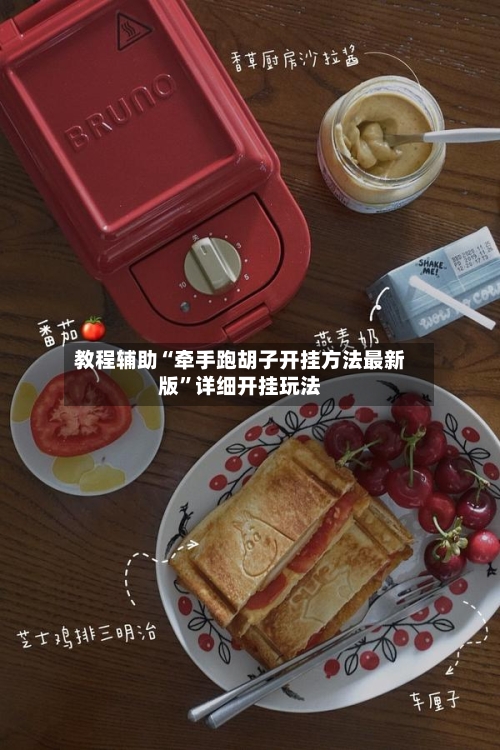 教程辅助“牵手跑胡子开挂方法最新版”详细开挂玩法-第3张图片