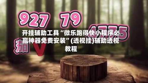 开挂辅助工具“微乐跑得快小程序必赢神器免费安装”(透视挂)辅助透视教程