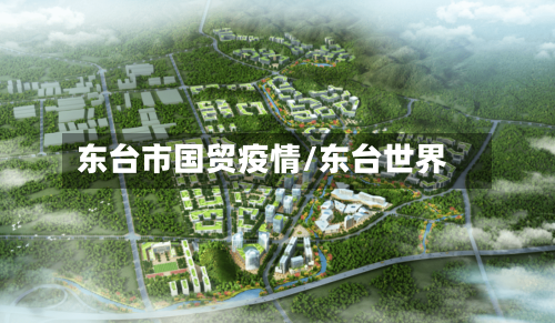 东台市国贸疫情/东台世界-第2张图片