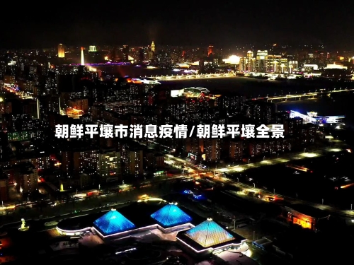 朝鲜平壤市消息疫情/朝鲜平壤全景-第3张图片