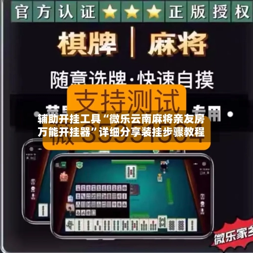 辅助开挂工具“微乐云南麻将亲友房万能开挂器”详细分享装挂步骤教程-第3张图片