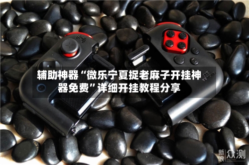 辅助神器“微乐宁夏捉老麻子开挂神器免费”详细开挂教程分享