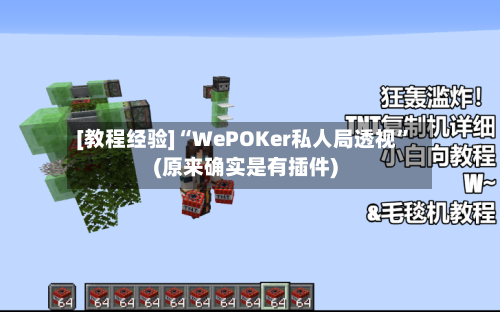 [教程经验]“WePOKer私人局透视”(原来确实是有插件)
